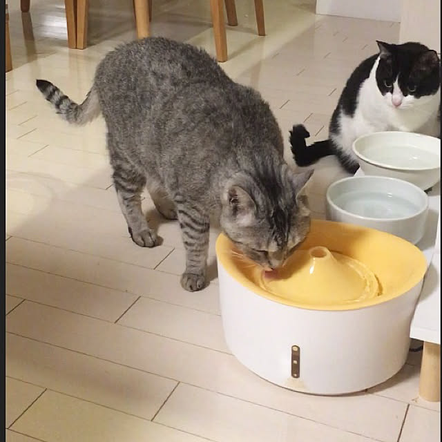 bikkeさんの実例写真
