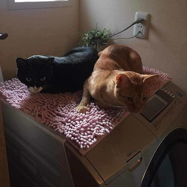 mtkさんの実例写真