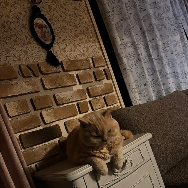 naokoさんの部屋