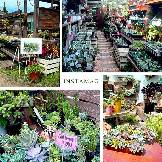 natulove0418さんの実例写真