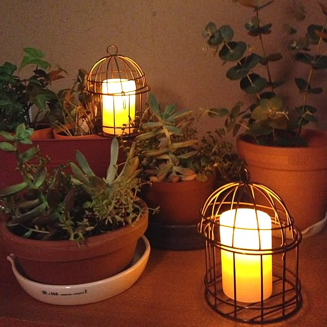 shinobunさんの部屋