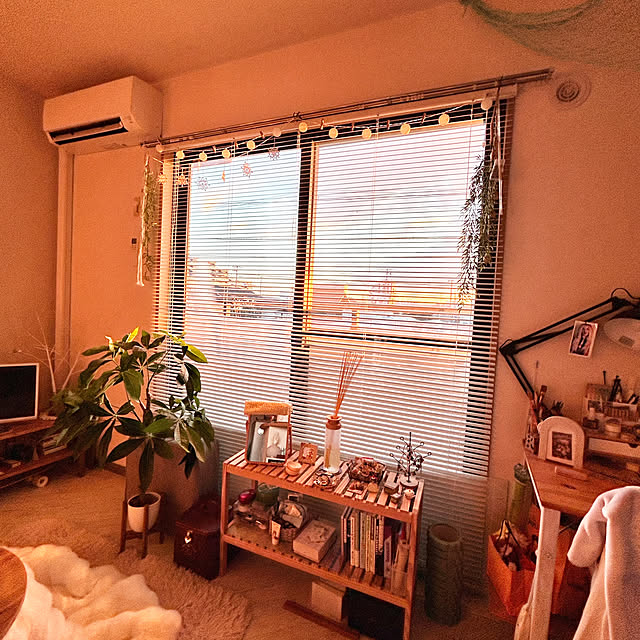 yucca.さんの部屋