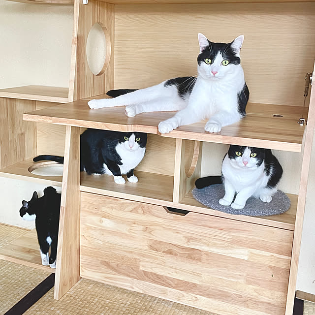 Yukinekoさんの部屋