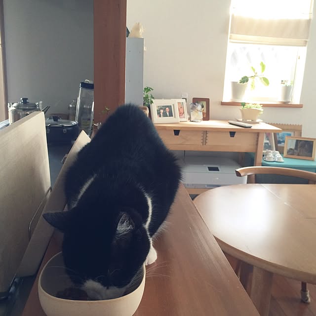 kazuさんの実例写真