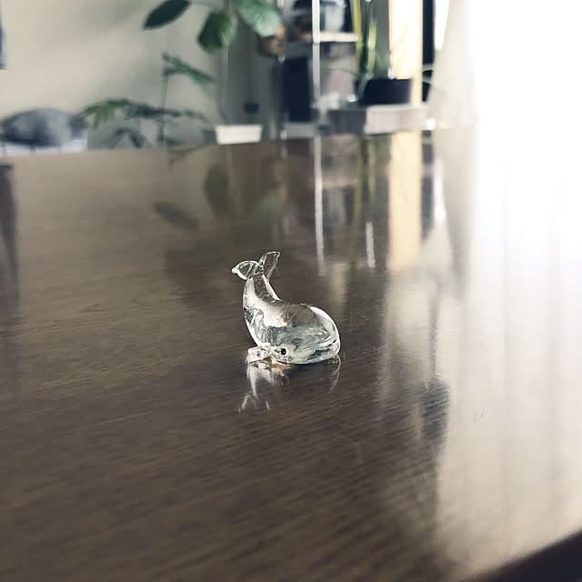powakyonさんの実例写真