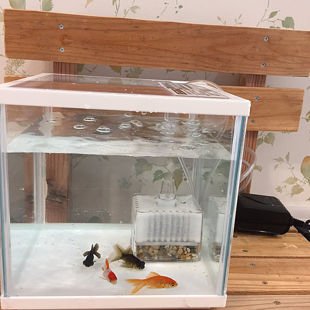 koi_rinさんの実例写真