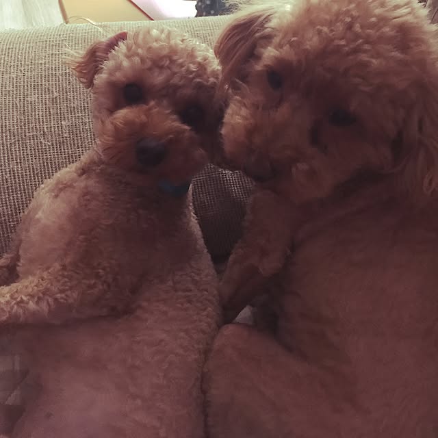yueさんの実例写真