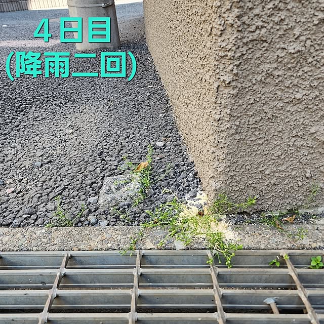 75さんの部屋