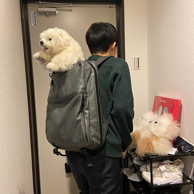 sinsinさんの実例写真