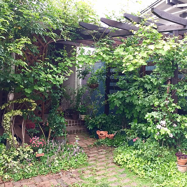 butachanさんの実例写真