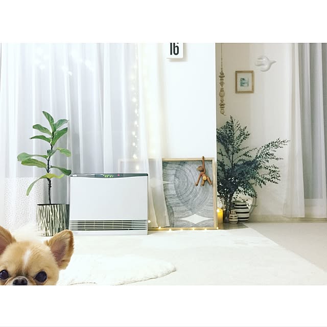 haruhinaさんの実例写真