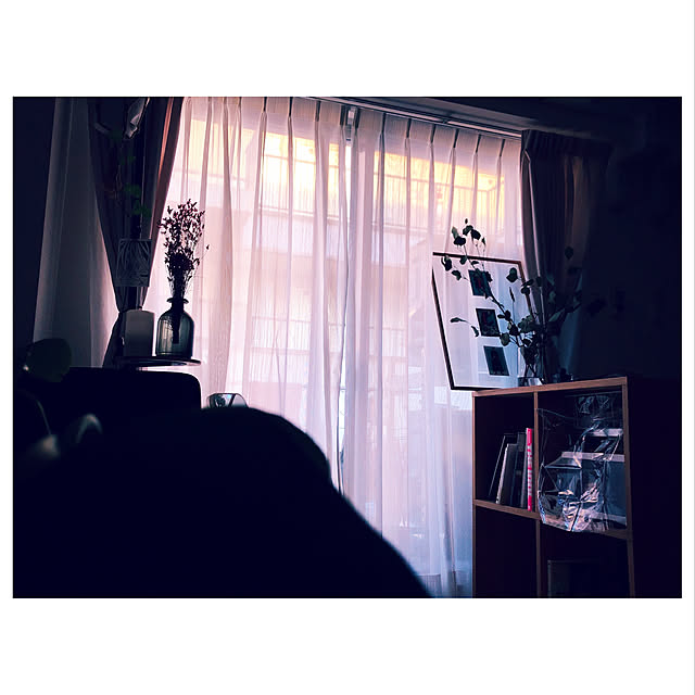 shiさんの実例写真