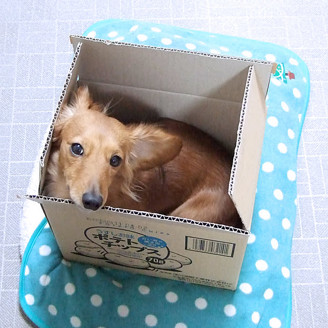 SetSunさんの実例写真
