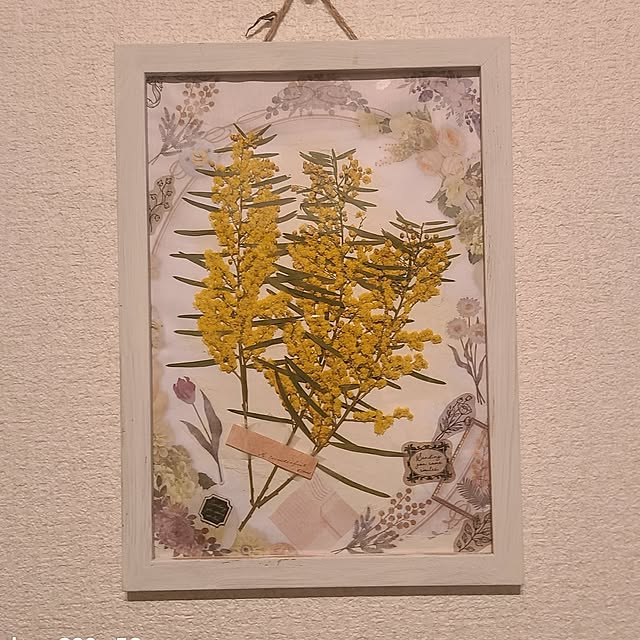 monnさんの部屋