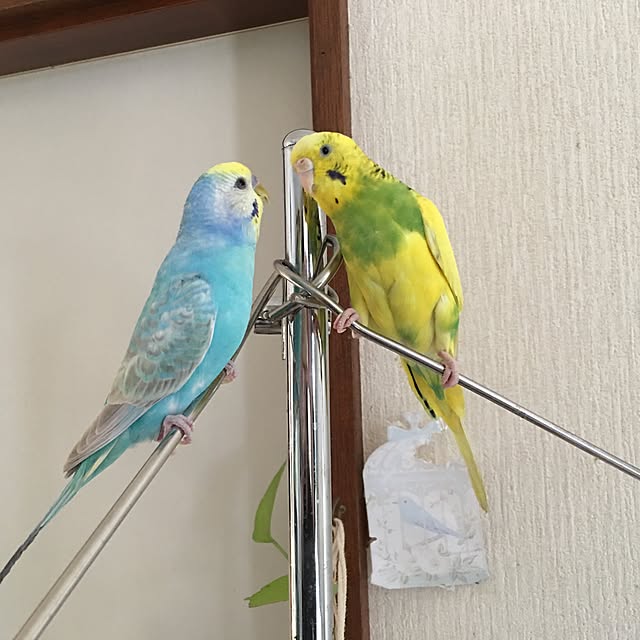Keisukeさんの実例写真
