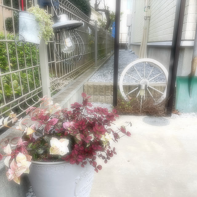 meekeさんの実例写真