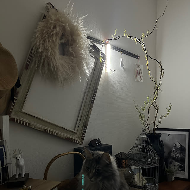 mayumiさんの実例写真