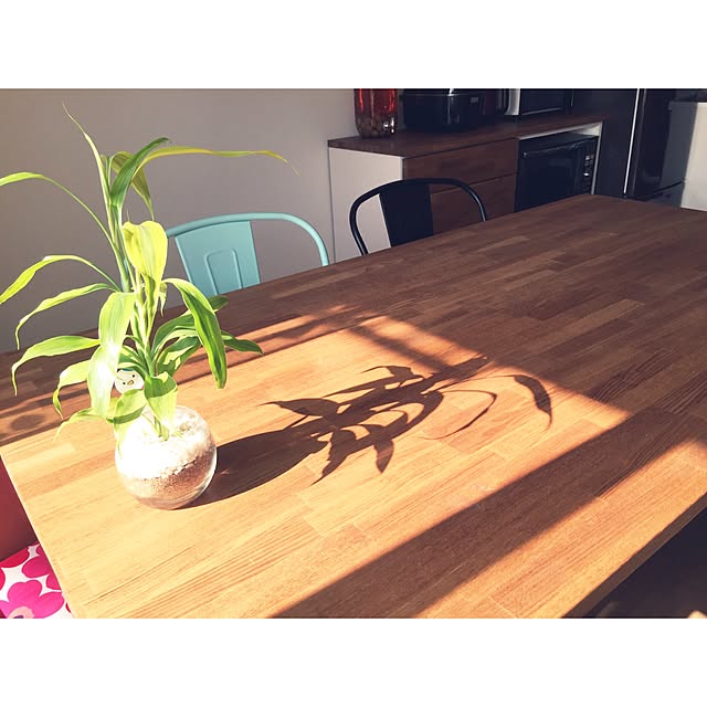 makaさんの実例写真