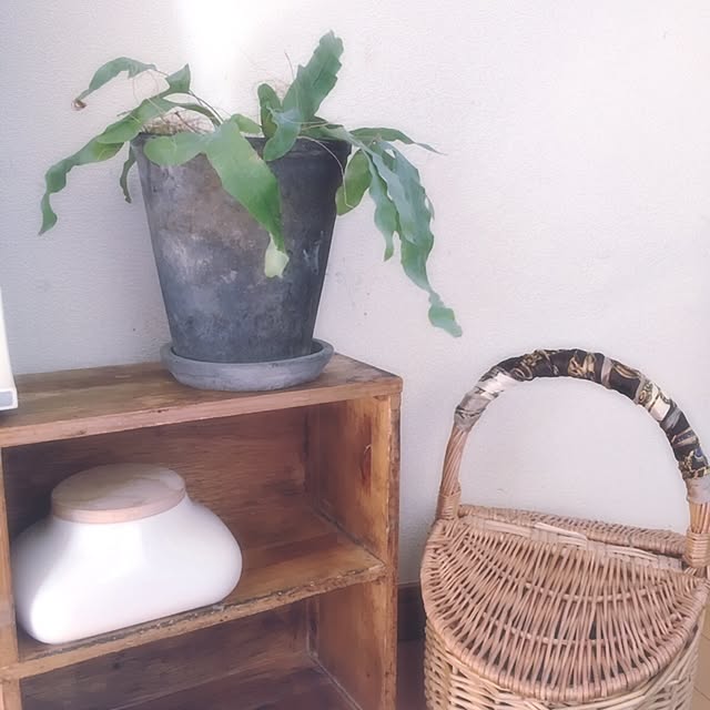 koanloveさんの実例写真