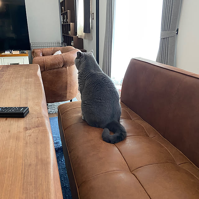 emabokさんの部屋