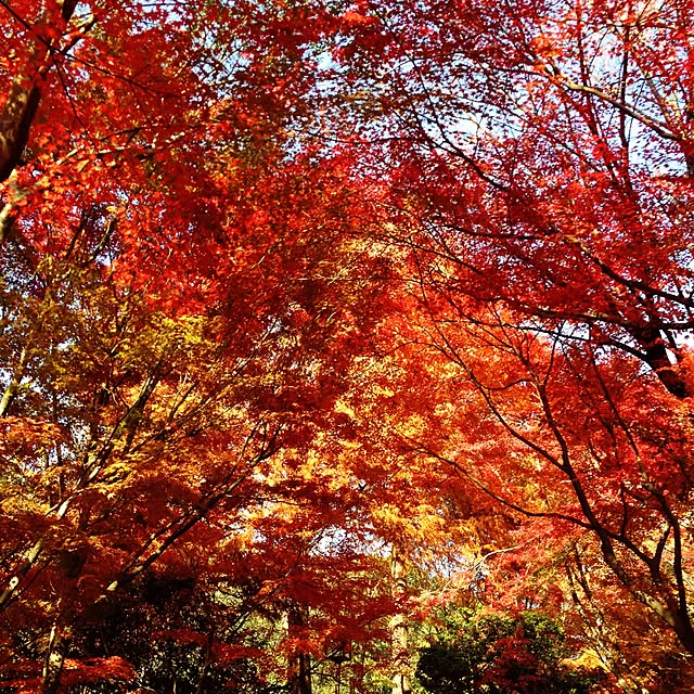 ohama147さんの実例写真