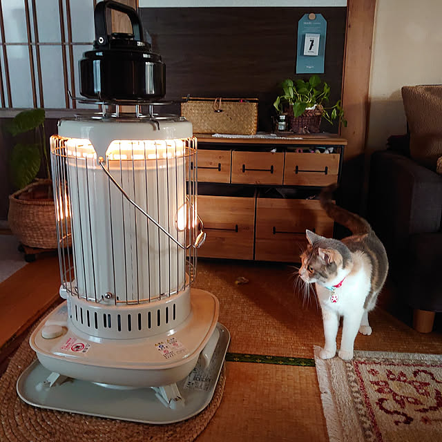 fukuさんの実例写真