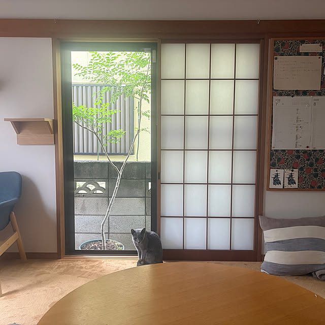 mayugehaさんの実例写真