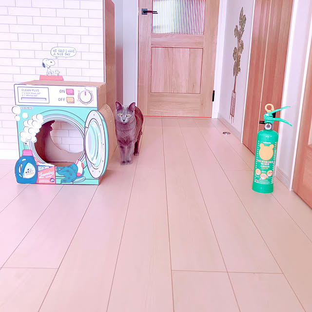 snoopyさんの部屋