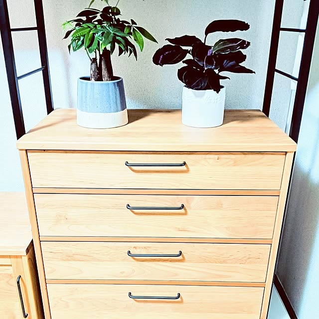 hanachanさんの部屋