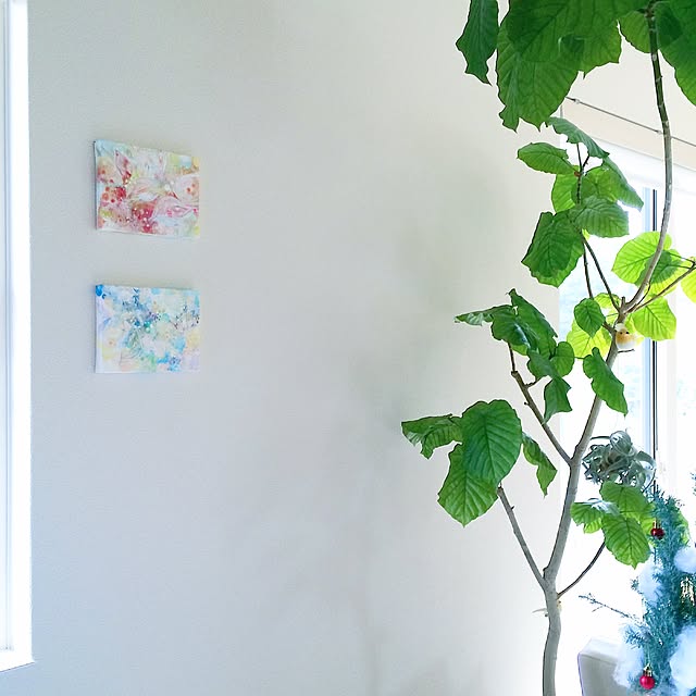masami.hさんの実例写真