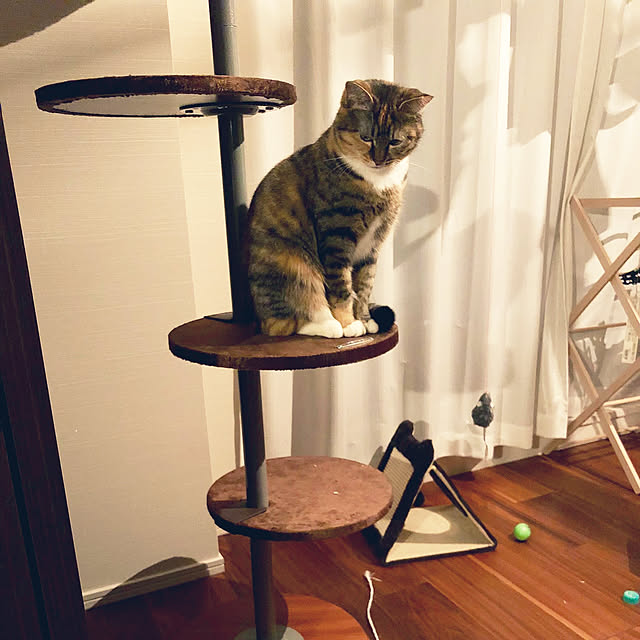 vino0414さんの実例写真