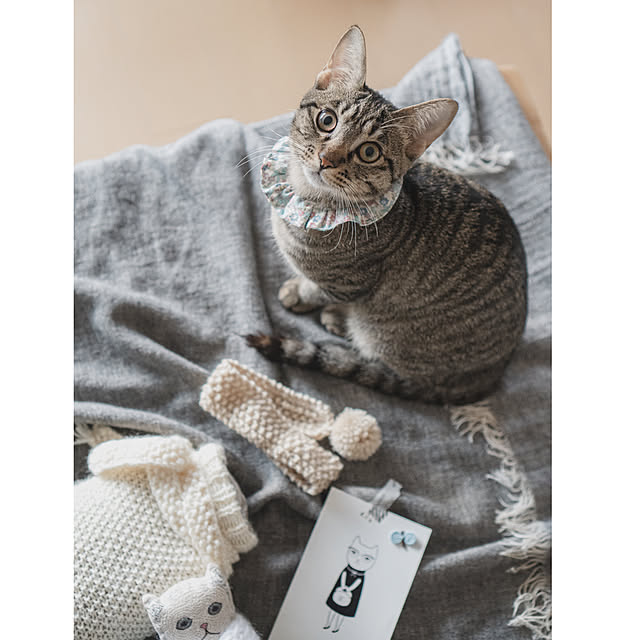 oliveさんの実例写真