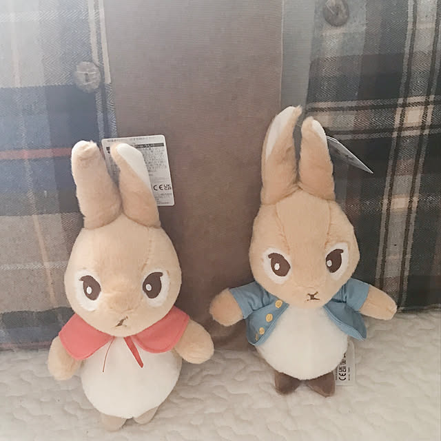 sakuさんの実例写真