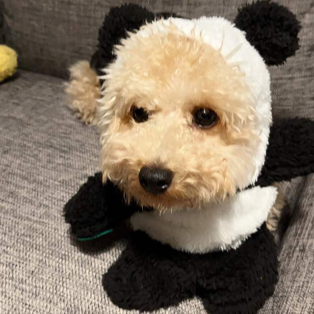 eriharuさんの実例写真