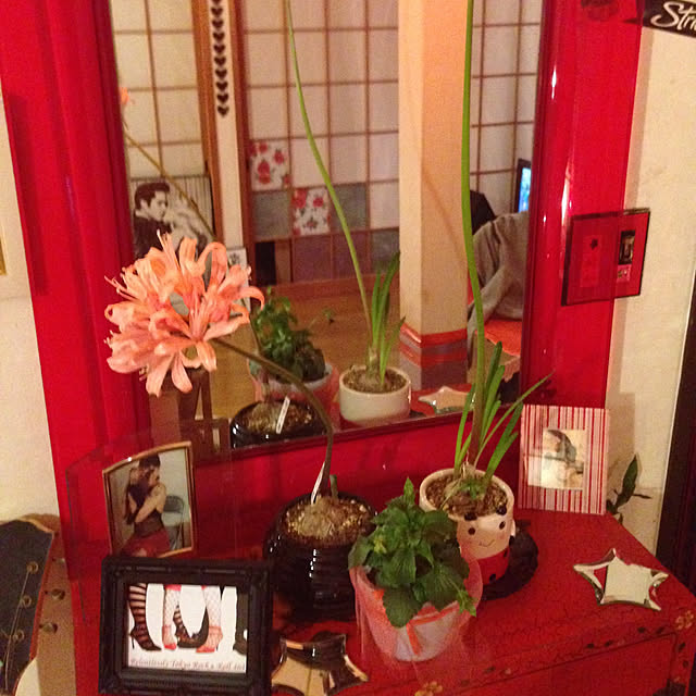 SyuRiderさんの実例写真