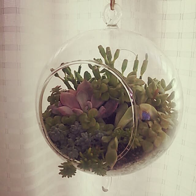 OLIVEさんの実例写真