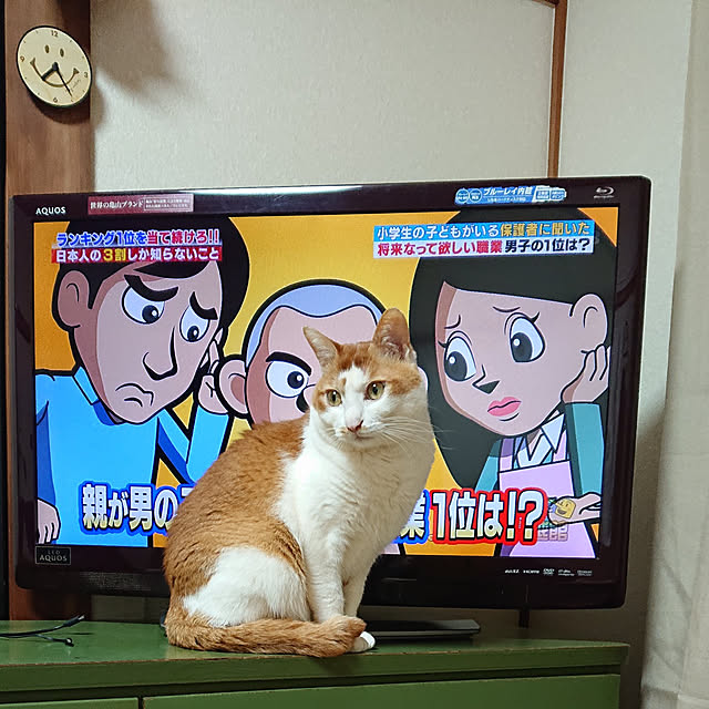 mugi77327732さんの実例写真