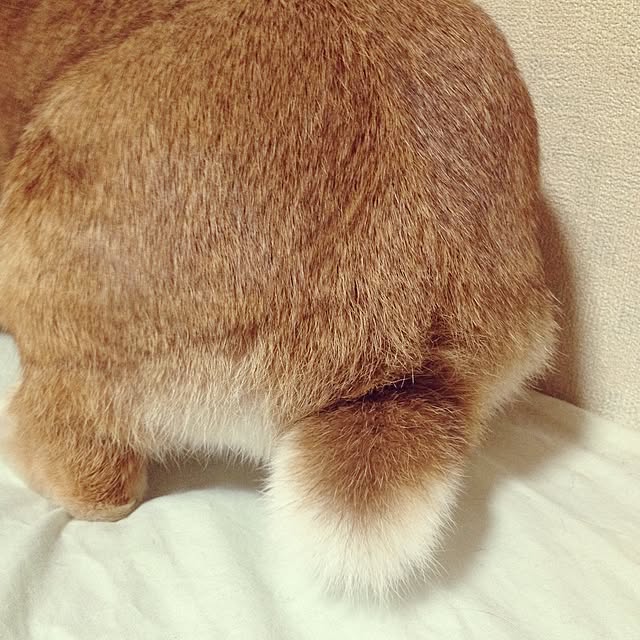 Rioさんの実例写真