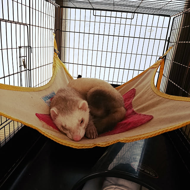 keiさんの実例写真