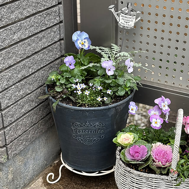 maayaさんの部屋