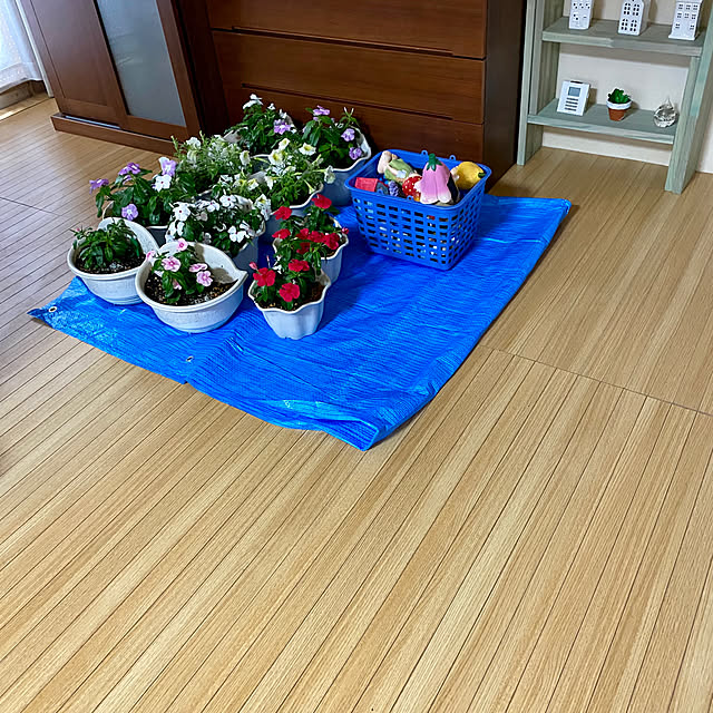 YuuKoさんの部屋
