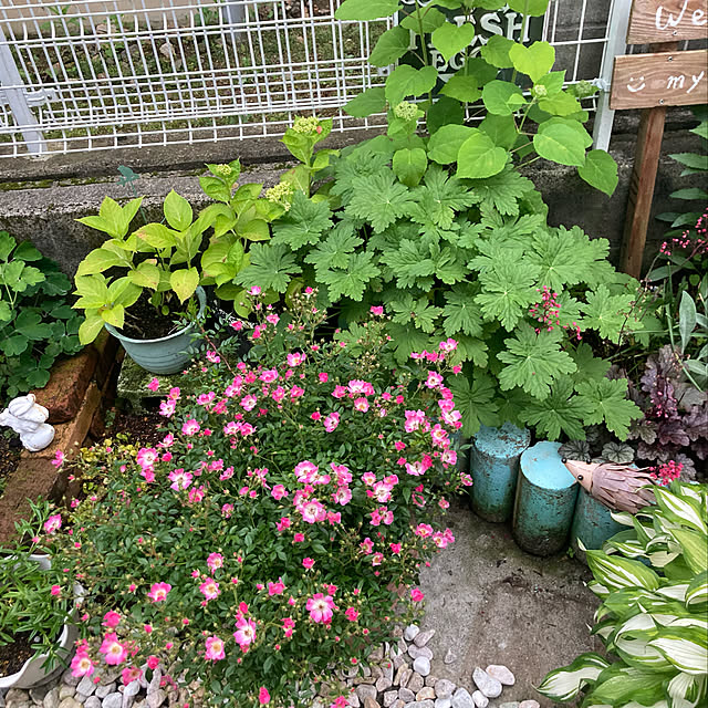 CoCo0617さんの実例写真