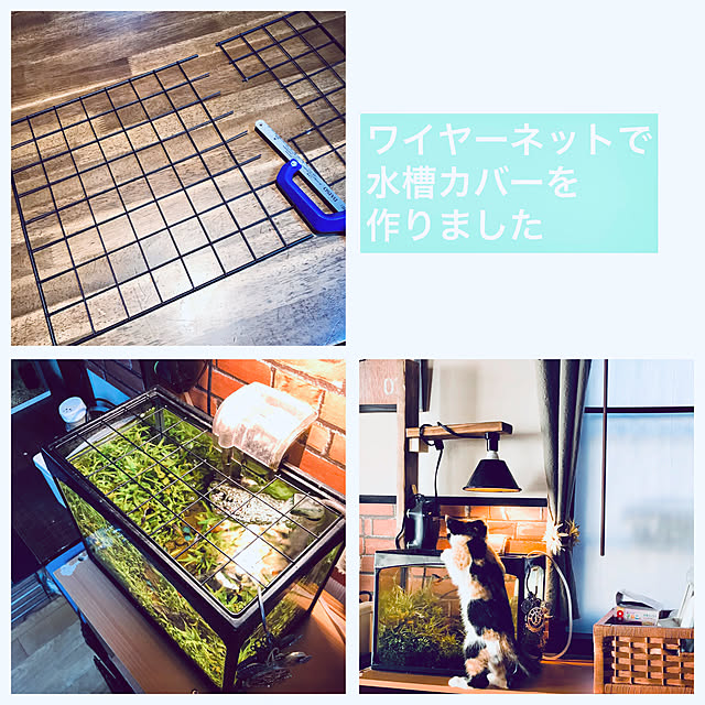 maroさんの実例写真