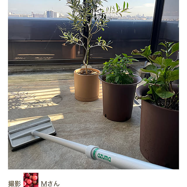 Mさんの実例写真