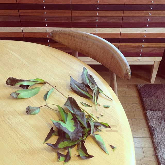 mugiinaさんの実例写真