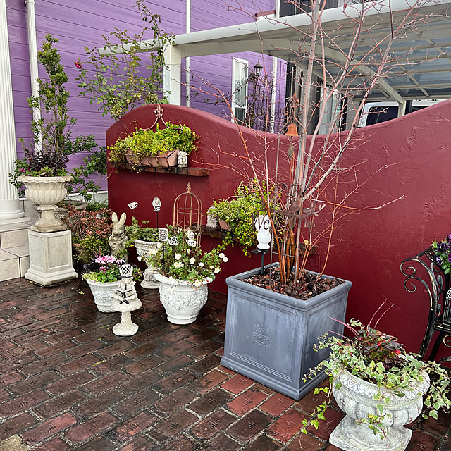 AYUKOさんの部屋