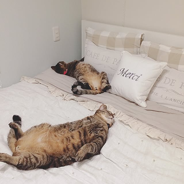 lovecatさんの実例写真
