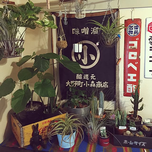 1623さんの実例写真