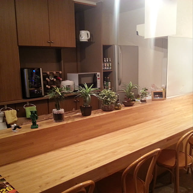 キッチン/観葉植物のインテリア実例 - 2018-10-17 14:47:06