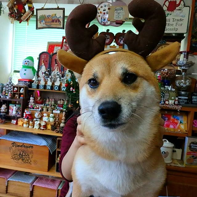 nanaさんの実例写真